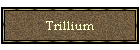 Trillium