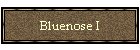 Bluenose I